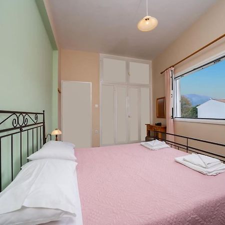 Vasilakis Apartment 萨米 外观 照片
